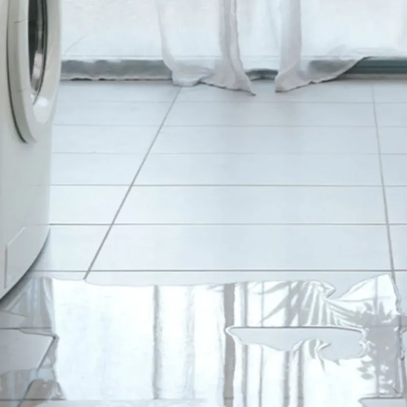 Appliance Leak Cleanup in Evansville, WY