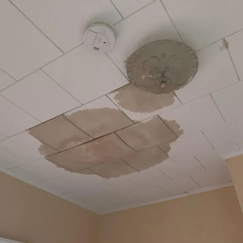 Ceiling Water Damage Repair in Evansville, WY