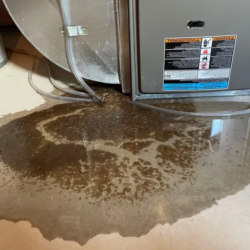 Pipe Burst and Leak Restoration in Evansville, WY