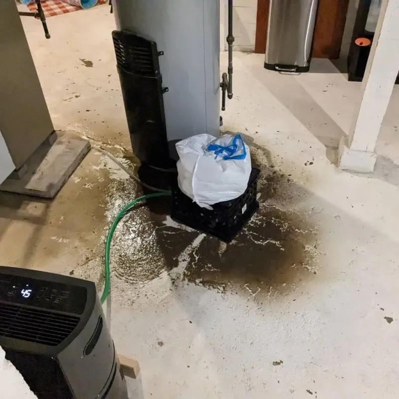 Sewage Backup Cleanup Service in Evansville, WY